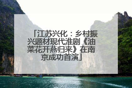 江苏兴化：乡村振兴题材现代淮剧《油菜花开燕归来》在南京成功首演