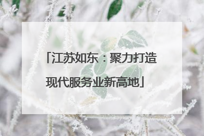 江苏如东：聚力打造现代服务业新高地