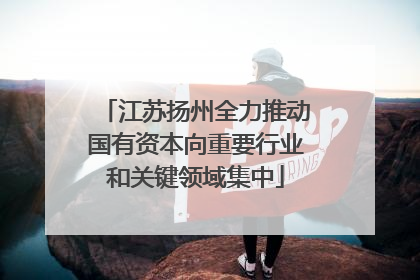 江苏扬州全力推动国有资本向重要行业和关键领域集中