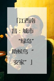 江西南昌：城市“绿岛”助候鸟“安家”