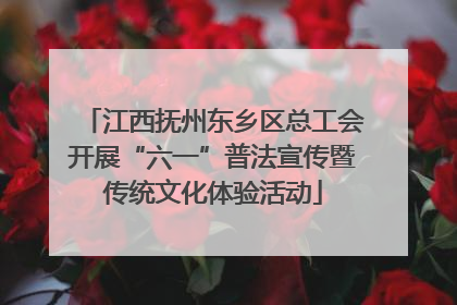 江西抚州东乡区总工会开展“六一”普法宣传暨传统文化体验活动