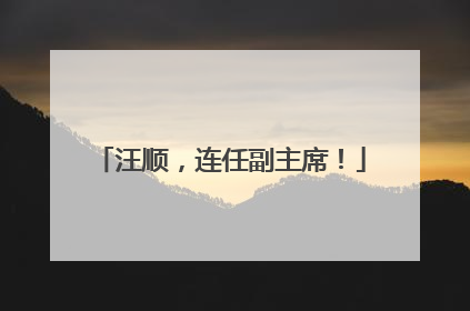 汪顺，连任副主席！
