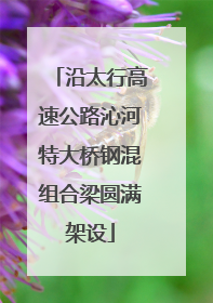 沿太行高速公路沁河特大桥钢混组合梁圆满架设
