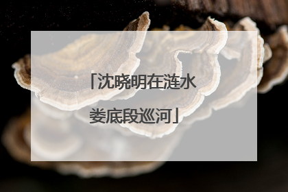 沈晓明在涟水娄底段巡河