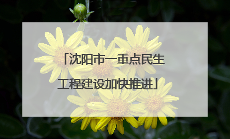 沈阳市一重点民生工程建设加快推进