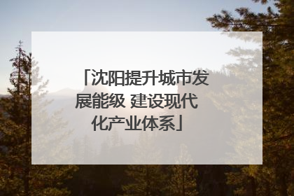 沈阳提升城市发展能级 建设现代化产业体系