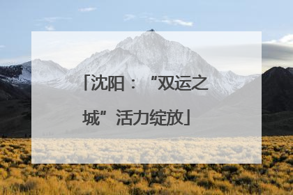 沈阳：“双运之城”活力绽放