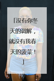 没有你冬天的调解，就没有我春天的菠菜！