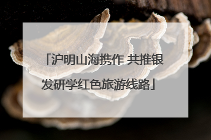 沪明山海携作 共推银发研学红色旅游线路