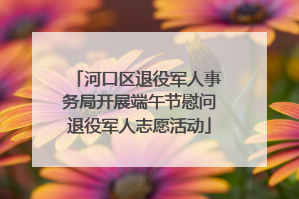 河口区退役军人事务局开展端午节慰问退役军人志愿活动