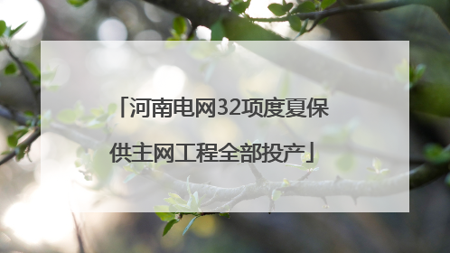 河南电网32项度夏保供主网工程全部投产