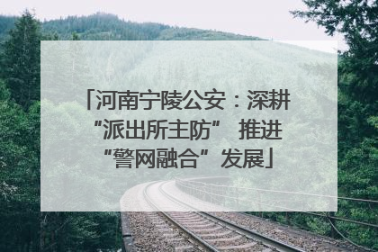 河南宁陵公安：深耕“派出所主防” 推进“警网融合”发展