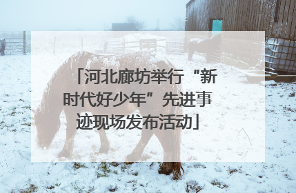 河北廊坊举行“新时代好少年”先进事迹现场发布活动
