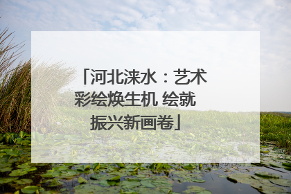 河北涞水：艺术彩绘焕生机 绘就振兴新画卷