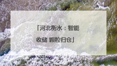 河北衡水：智能收储 颗粒归仓