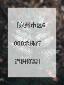 泉州市区6000余株行道树修剪