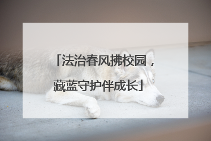 法治春风拂校园，藏蓝守护伴成长