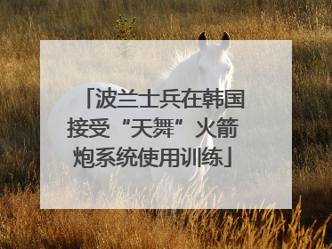 波兰士兵在韩国接受“天舞”火箭炮系统使用训练