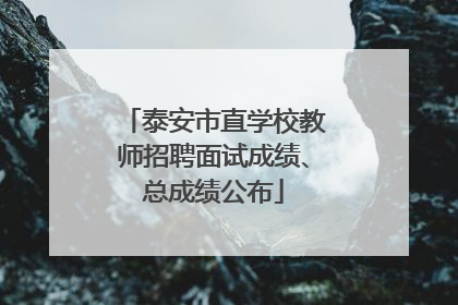 泰安市直学校教师招聘面试成绩、总成绩公布