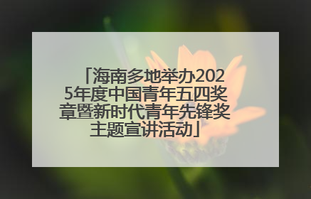 海南多地举办2025年度中国青年五四奖章暨新时代青年先锋奖主题宣讲活动