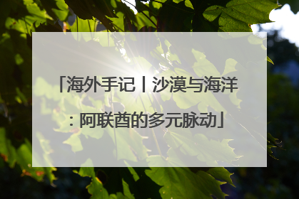 海外手记丨沙漠与海洋：阿联酋的多元脉动