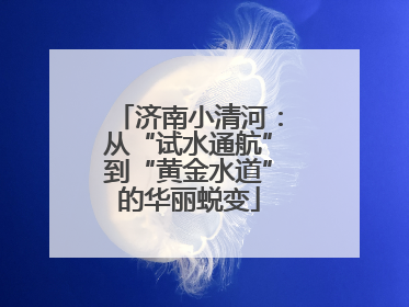 济南小清河：从“试水通航”到“黄金水道”的华丽蜕变