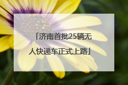 济南首批25辆无人快递车正式上路