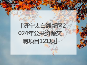 济宁太白湖新区2024年公共资源交易项目121项