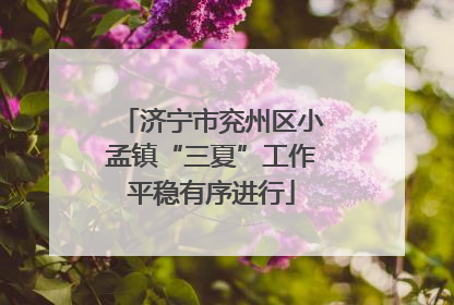 济宁市兖州区小孟镇“三夏”工作平稳有序进行