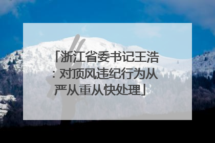 浙江省委书记王浩：对顶风违纪行为从严从重从快处理