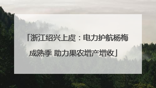 浙江绍兴上虞：电力护航杨梅成熟季 助力果农增产增收