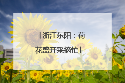 浙江东阳：荷花盛开采摘忙