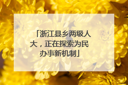 浙江县乡两级人大，正在探索为民办事新机制