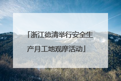 浙江德清举行安全生产月工地观摩活动