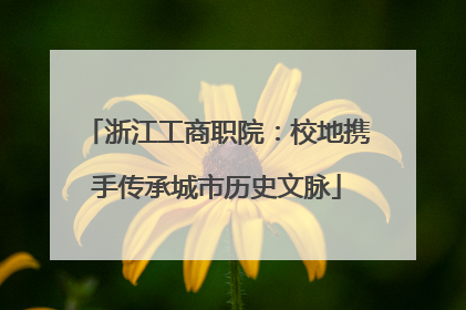 浙江工商职院：校地携手传承城市历史文脉