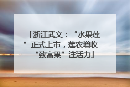 浙江武义：“水果莲”正式上市，莲农增收“致富果”注活力