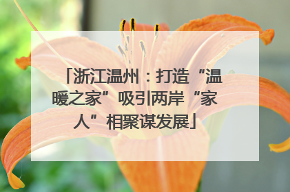 浙江温州：打造“温暖之家”吸引两岸“家人”相聚谋发展