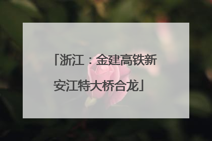 浙江：金建高铁新安江特大桥合龙