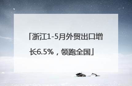 浙江1-5月外贸出口增长6.5%，领跑全国
