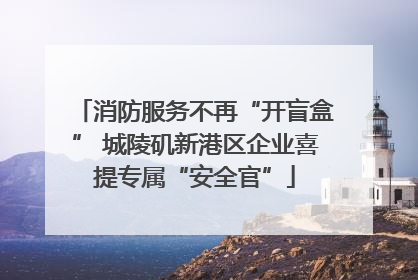 消防服务不再“开盲盒” 城陵矶新港区企业喜提专属“安全官”