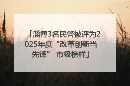 淄博3名民警被评为2025年度“改革创新当先锋” 市级榜样