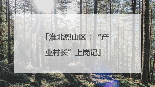 淮北烈山区：“产业村长”上岗记