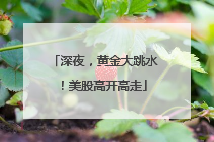 深夜，黄金大跳水！美股高开高走