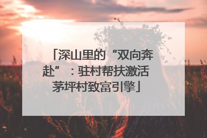 深山里的“双向奔赴”：驻村帮扶激活茅坪村致富引擎