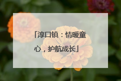 淳口镇：情暖童心，护航成长