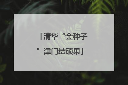 清华“金种子”津门结硕果