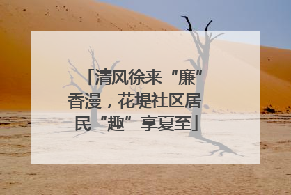 清风徐来“廉”香漫，花堤社区居民“趣”享夏至