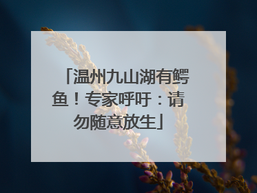温州九山湖有鳄鱼！专家呼吁：请勿随意放生
