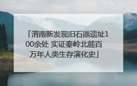 渭南新发现旧石器遗址100余处 实证秦岭北麓百万年人类生存演化史