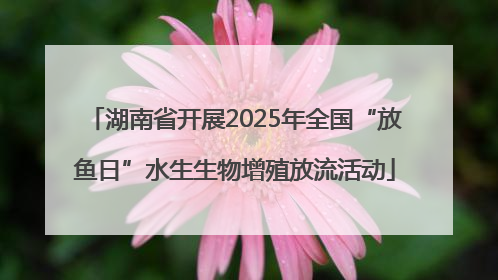 湖南省开展2025年全国“放鱼日”水生生物增殖放流活动
